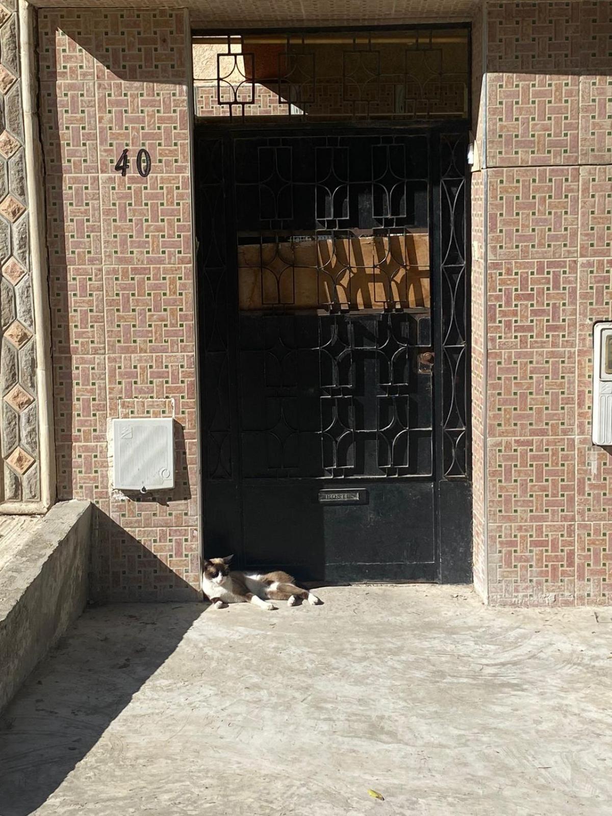 Souani  Dar Shamsy酒店 外观 照片